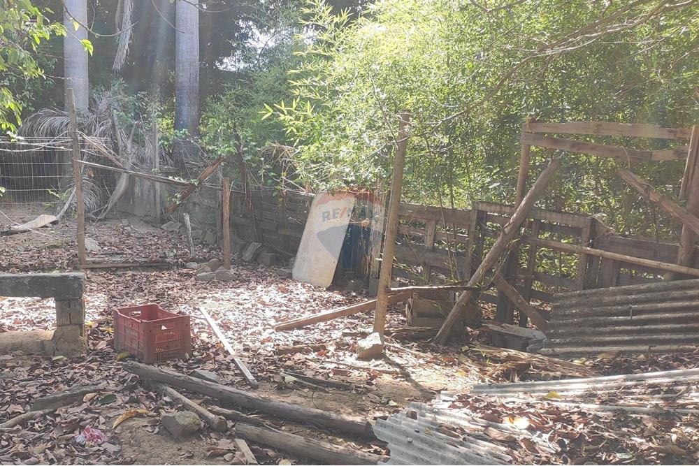 Terreno - Venda - Paraíba do Sul , Rio de Janeiro - IMG_20251106_135840.jpg - 631411001-102