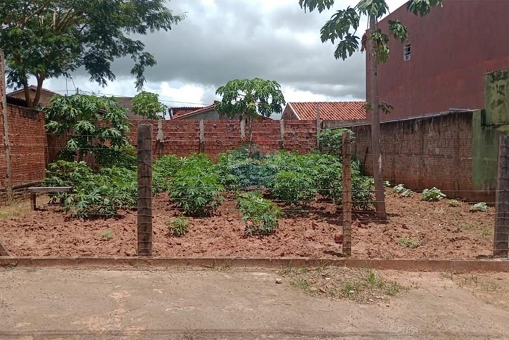 Terreno - Venda - Lins , São Paulo - Terreno Ana Carolina.jpeg - 630511048-30