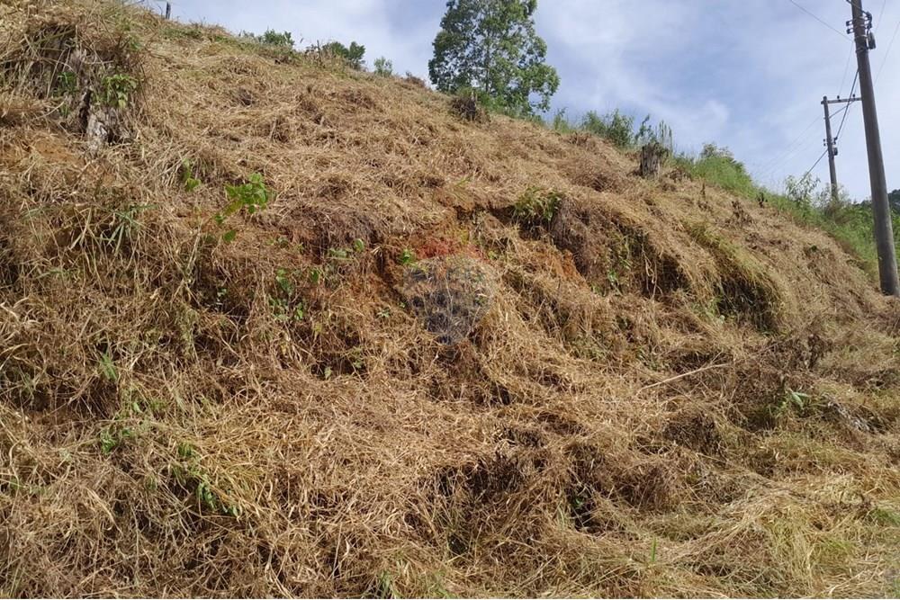 Terreno - Venda - Bom Jardim , Rio de Janeiro - WhatsApp Image 2025-01-18 at 09.51.52.jpeg - 630171008-29