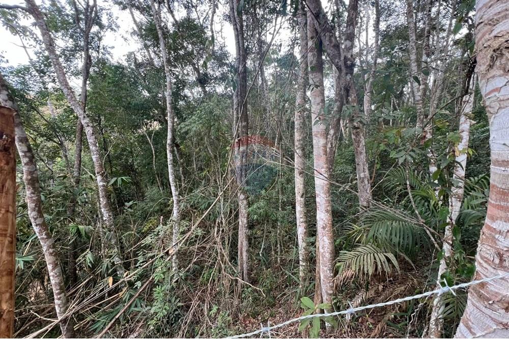 Terreno - Venda - Teresópolis , Rio de Janeiro - IMG-20250715-WA0009.jpg - 630191078-34