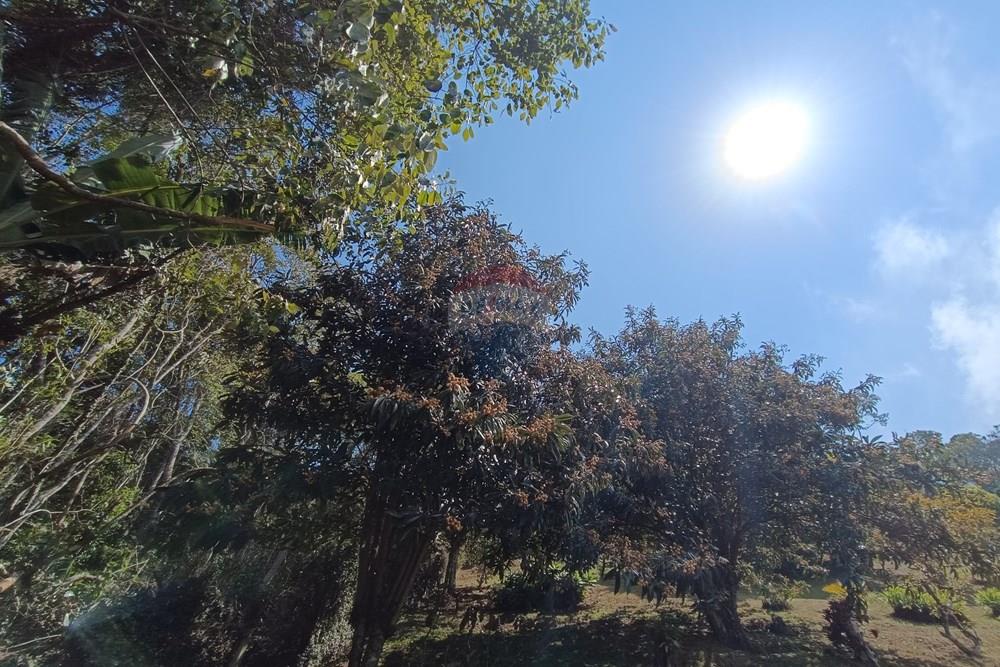 Casa - Venda - Teresópolis , Rio de Janeiro - IMG_20250906_110416_1.jpg - 630191109-18