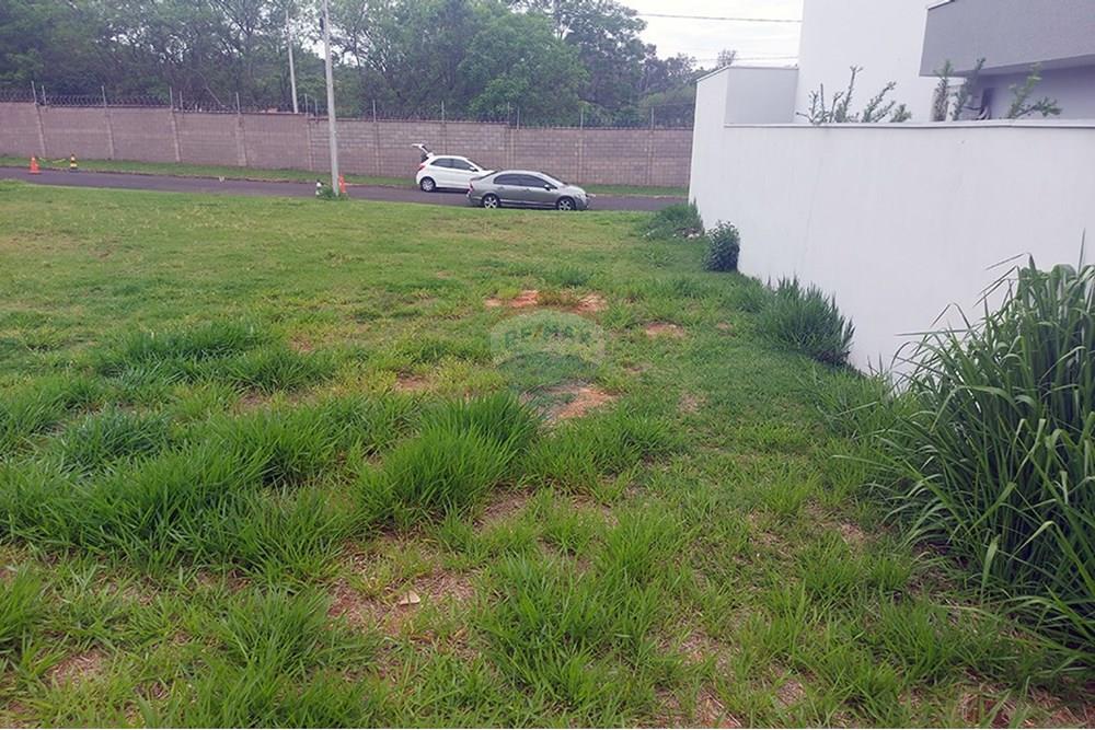 Terreno - Venda - Álvares Machado , São Paulo - 20251028_123606.jpg - 630861066-9