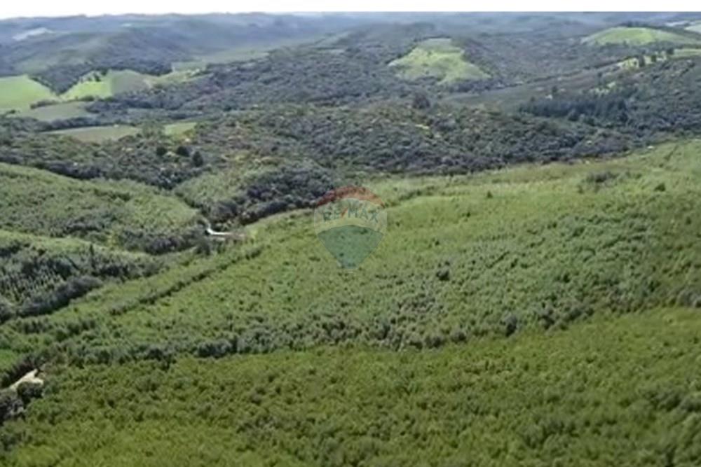 Chácara / Sítio / Fazenda - Venda - Ribeirão Branco , São Paulo - Captura de tela 2025-08-08 170212.jpg - 630541038-45