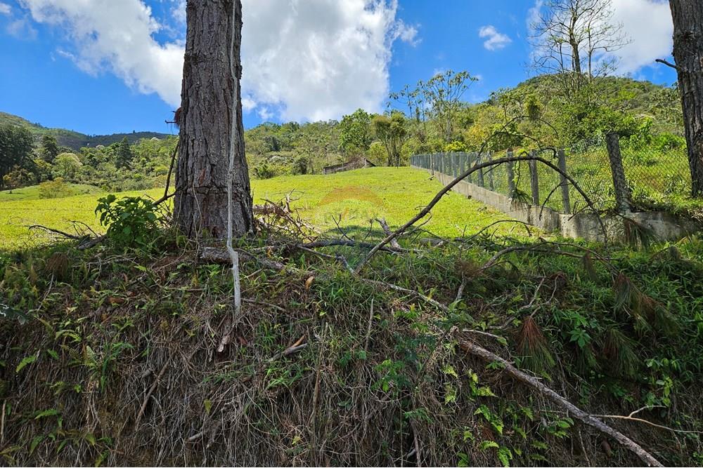 Terreno - Venda - Nova Friburgo , Rio de Janeiro - 20251111_103144.jpg - 630551024-83