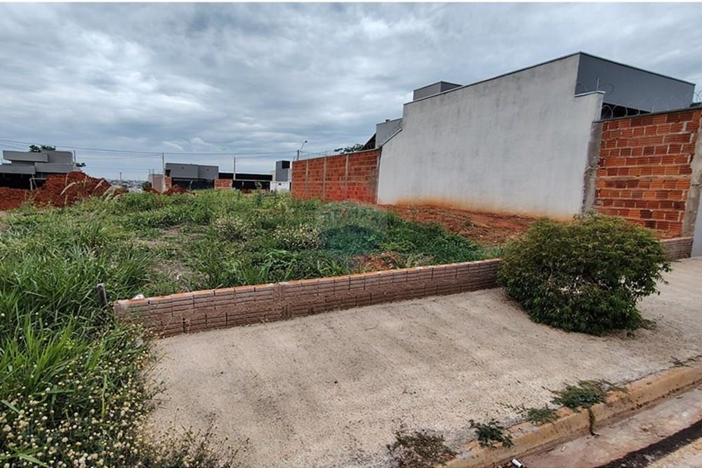 Terreno - Venda - Mirassol , São Paulo - IMG_20251202_115037927_HDR.jpg - 630401039-14