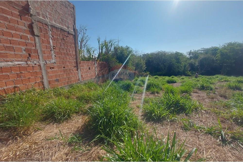 Chácara / Sítio / Fazenda - Venda - Álvares Machado , São Paulo - WhatsApp Image 2025-09-18 at 16.37.26.jpeg - 630861066-7