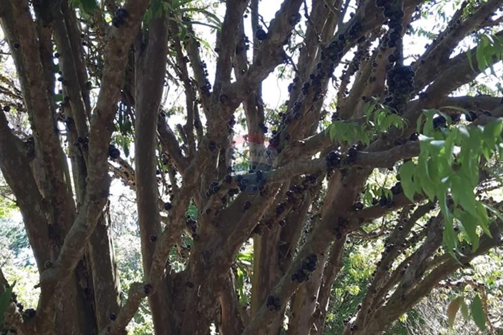 Casa de Campo - Venda - Araçoiaba da Serra , São Paulo - WhatsApp Image 2025-10-11 at 14.21.30 (4).jpeg - 630591061-147