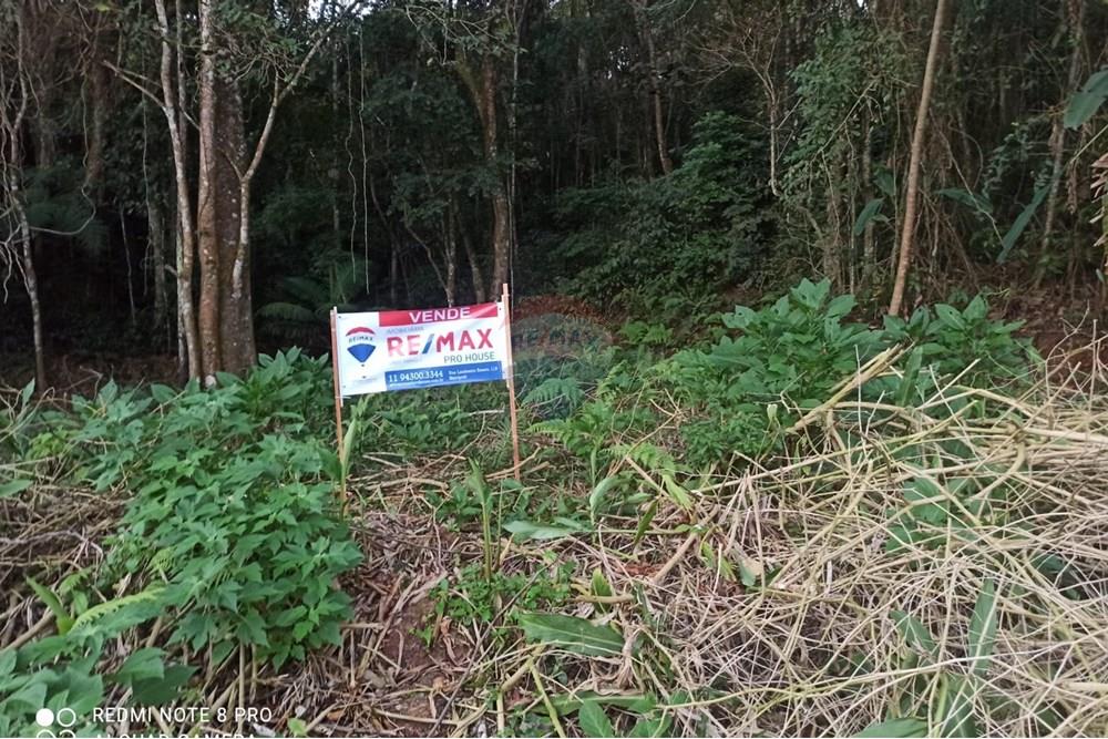 Terreno - Venda - Mairiporã , São Paulo - WhatsApp Image 2025-08-02 at 00.48.46.jpeg - 631361025-36