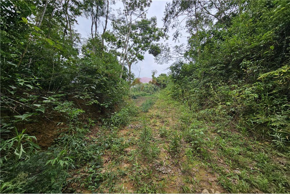 Residential - भूमि - Nova Friburgo , रिओ डे जैनेरो - BR - 23 - 630551016-143