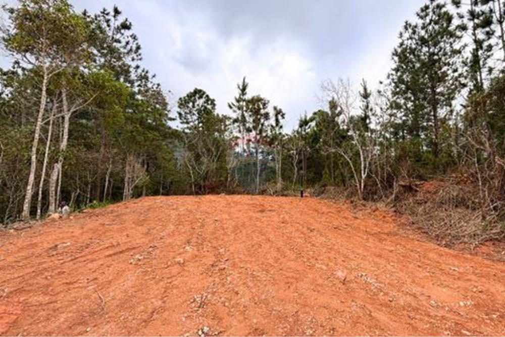 Terreno - Venda - Petrópolis , Rio de Janeiro - 8.jpg - 631611002-13