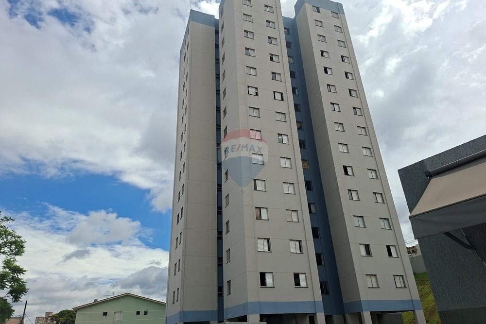 Apartamento - Alugar - Guarulhos , São Paulo - 20260119_104030.jpg - 631271004-77