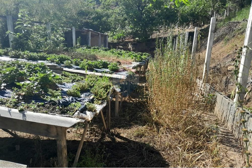 Chácara / Sítio / Fazenda - Venda - Bom Jardim , Rio de Janeiro - WhatsApp Image 2025-12-01 at 10.15.03 (1).jpeg - 630171007-64