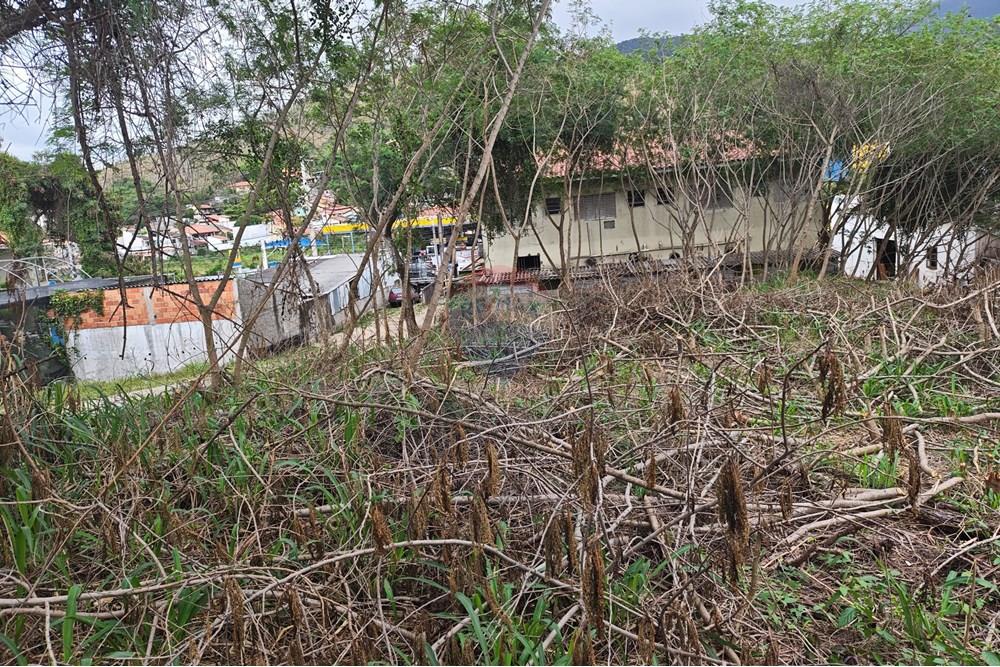 Terreno - Venda - São Sebastião , São Paulo - MVIMG_20250925_103044 - Copia - Copia.jpg - 631461059-30