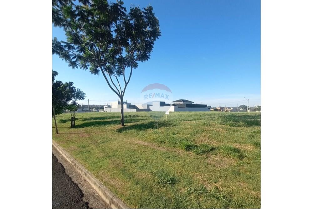 Terreno - Venda - Lins , São Paulo - 6.jpg - 630511048-11