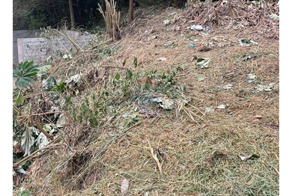 Terreno - Venda - Mairiporã , São Paulo - cda4c201-0ce6-4a43-aa2c-59d5a43da2cc.jpeg - 631361059-9