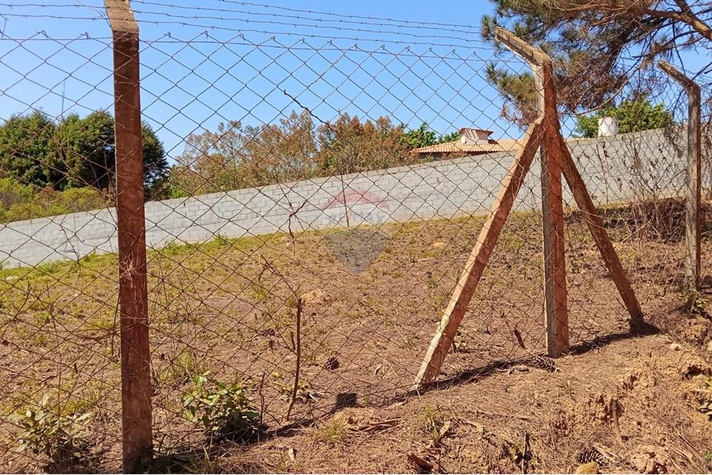 Terreno - Venda - Ibiúna , São Paulo - WhatsApp Image 2025-09-16 at 19.49.27.jpeg - 631331032-5