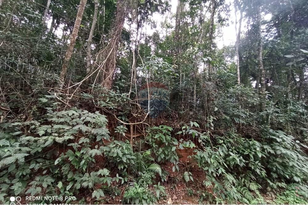 Terreno - Venda - Mairiporã , São Paulo - WhatsApp Image 2025-07-28 at 23.50.13.jpeg - 631361025-37