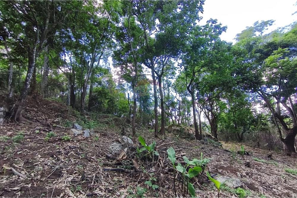 Terreno - Venda - Rio Bonito , Rio de Janeiro - WhatsApp Image 2026-03-26 at 15.58.43.jpeg - 631351006-8