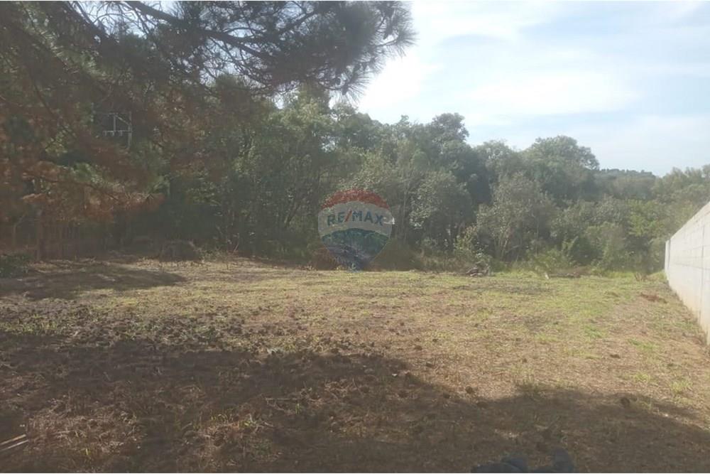 Terreno - Venda - Ibiúna , São Paulo - WhatsApp Image 2025-09-16 at 19.50.25 (2).jpeg - 631331032-5
