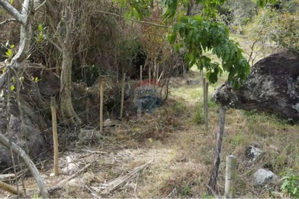 Terreno - Venda - Paraíba do Sul , Rio de Janeiro - 14.jpg - 631611011-3