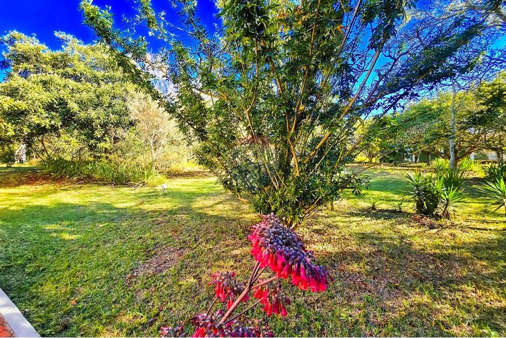 Chácara / Sítio / Fazenda - Venda - Pardinho , São Paulo - 32-20250730_152205.jpg - 630481103-147