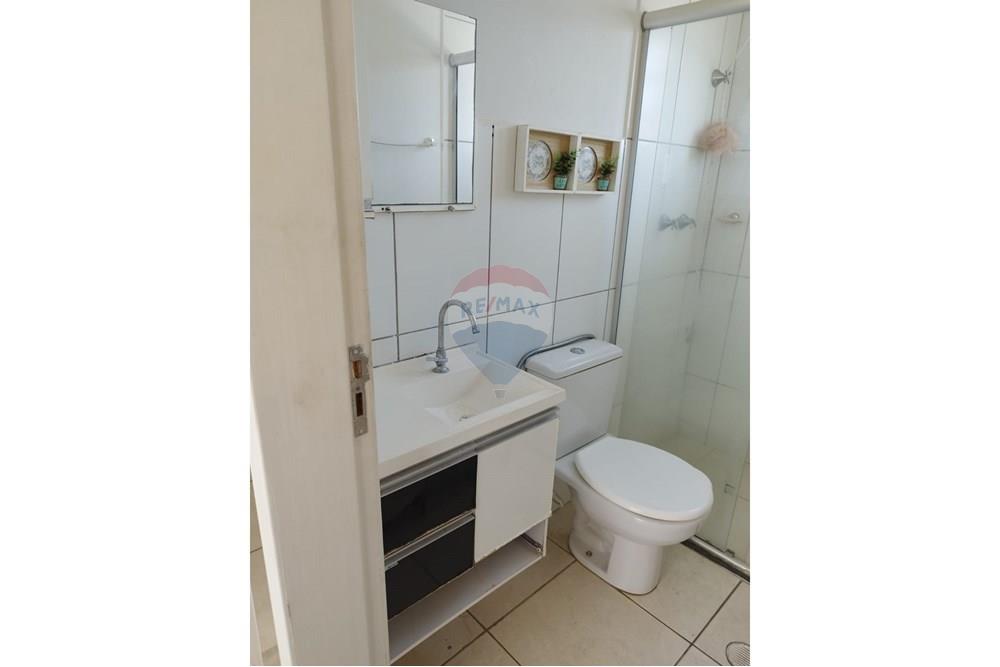 Apartamento - Alugar - Araçatuba , São Paulo - IMG-20251208-WA0094.jpg - 630541060-1