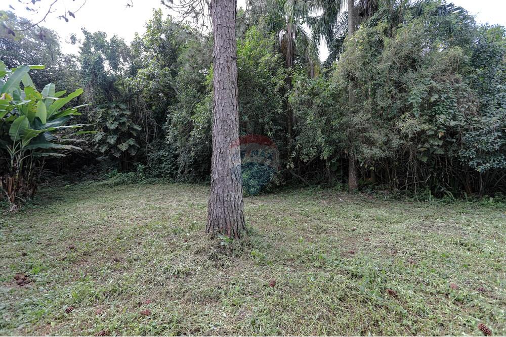 Terreno - Venda - Suzano , São Paulo - Remax- Estrada do Ribeirão 500 Suzano -7087.jpg - 630281011-753