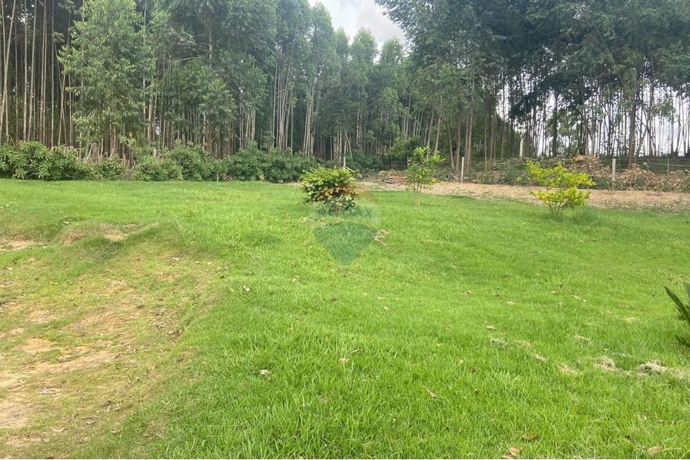 Chácara / Sítio / Fazenda - Alugar - Salto de Pirapora , São Paulo - WhatsApp Image 2025-03-05 at 14.28.06 (4).jpeg - 631181025-207