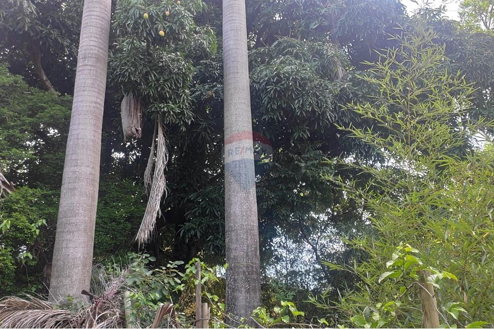 Terreno - Venda - Paraíba do Sul , Rio de Janeiro - IMG_20251106_135919.jpg - 631411001-102