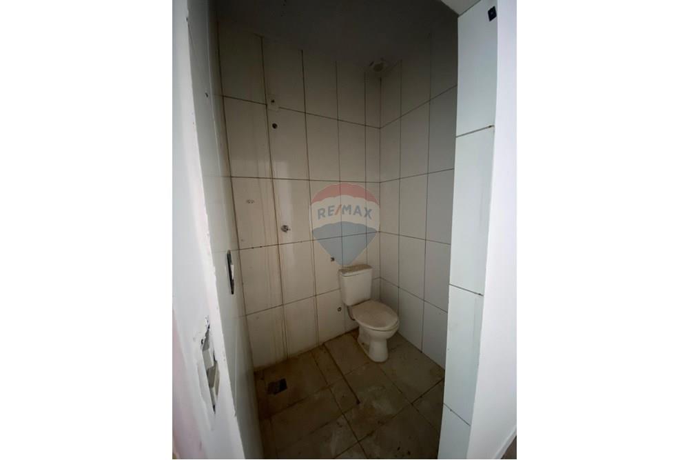 Turunduslik - Äripind - Birigui , Sao Paulo - BR - IMG-20250605-WA0612.jpg - 630851025-375