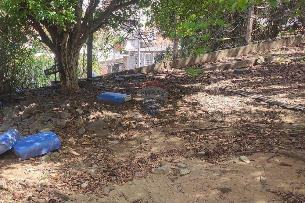 Terreno - Venda - Paraíba do Sul , Rio de Janeiro - IMG_20251106_135817.jpg - 631411001-102