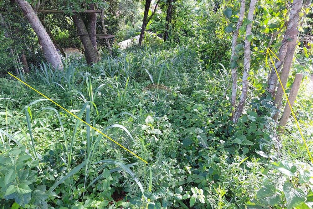 Terreno - Venda - Armação dos Búzios , Rio de Janeiro - 20260206_163619.jpg - 630391071-28