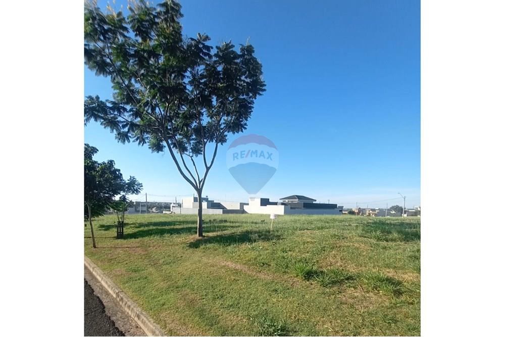 Terreno - Venda - Lins , São Paulo - 1.jpg - 630511048-11