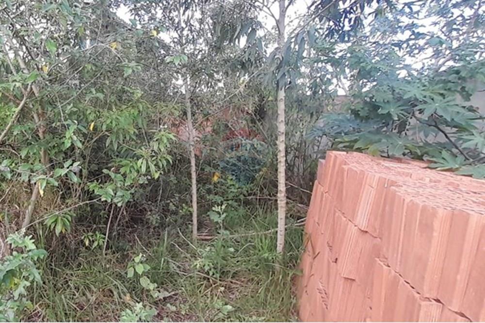 Terreno - Venda - Armação dos Búzios , Rio de Janeiro - WhatsApp Image 2025-12-18 at 09.05.56 (2).jpeg - 630391089-40