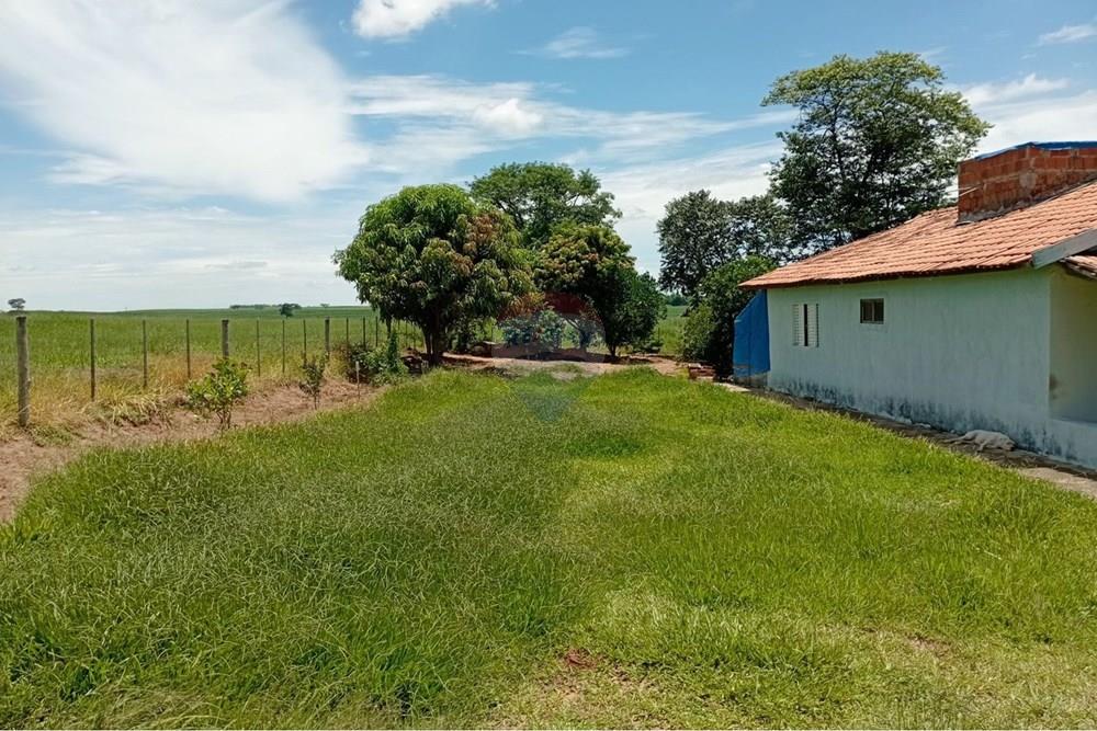 Chácara / Sítio / Fazenda - Venda - Tupã , São Paulo - WhatsApp Image 2026-01-14 at 15.07.24 (2).jpeg - 630151001-86