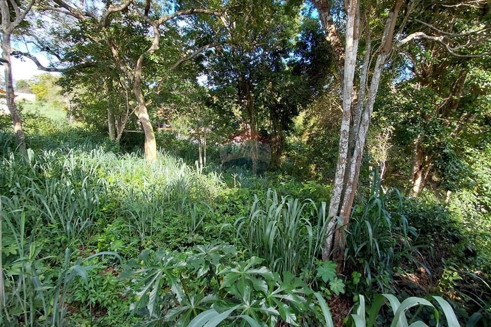 Terreno - Venda - Armação dos Búzios , Rio de Janeiro - 20260206_163759.jpg - 630391071-28