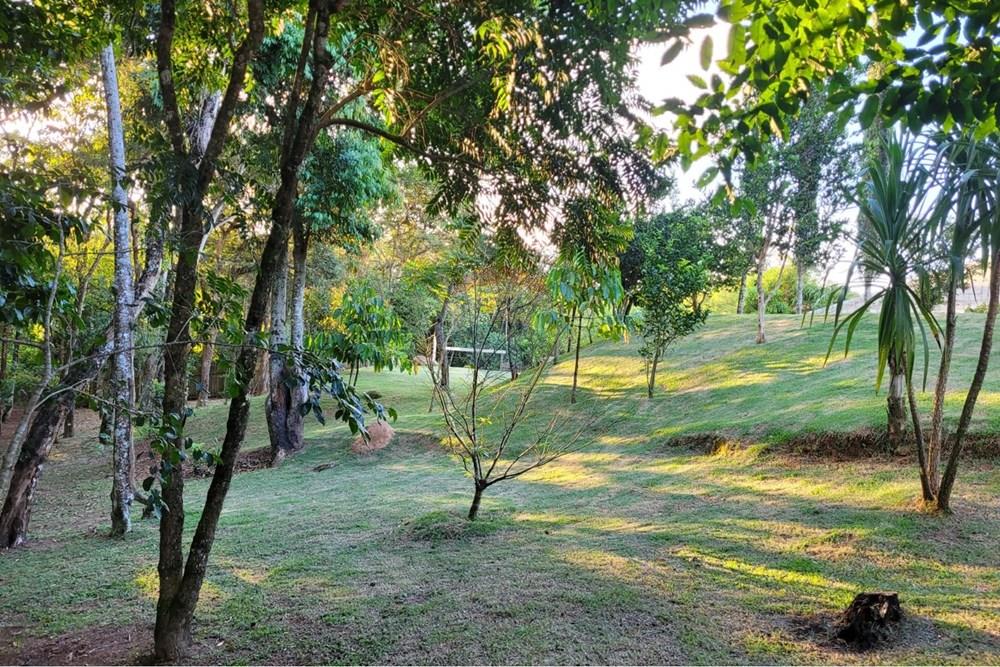 Chácara / Sítio / Fazenda - Venda - São Roque , São Paulo - WhatsApp Image 2026-01-19 at 12.52.40.jpeg - 631601019-35