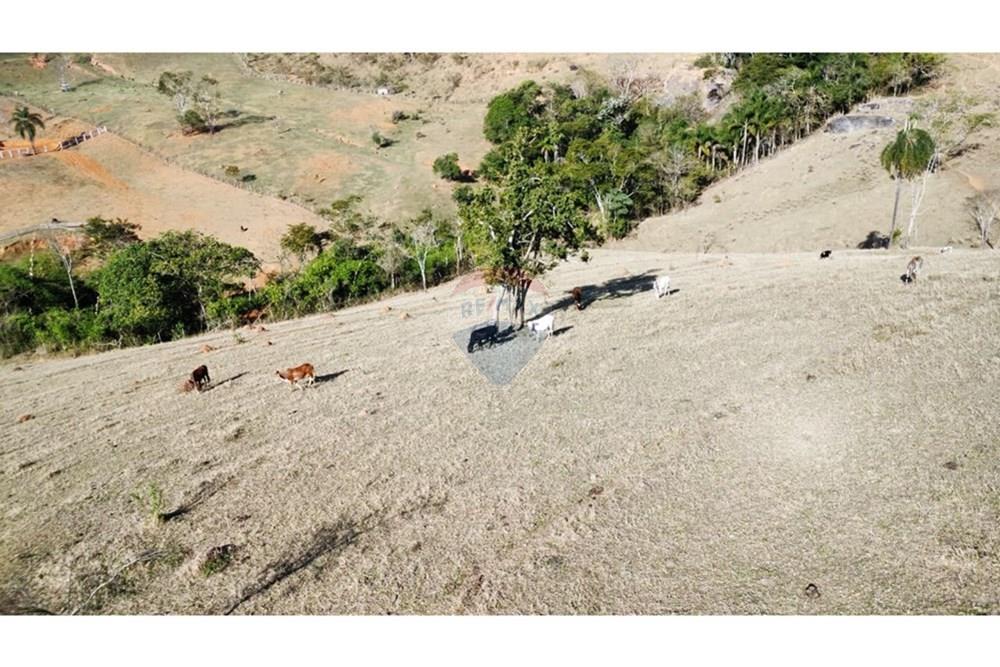 Chácara / Sítio / Fazenda - Venda - Santa Isabel , São Paulo - IMG-20250901-WA0307.jpg - 631491001-239