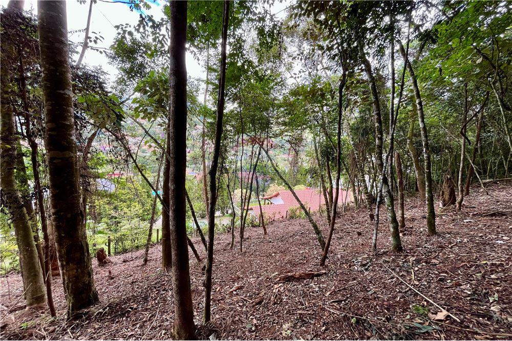 Terreno Residencial à venda em Parque do Imbui, Teresópolis - RJ - Foto 9