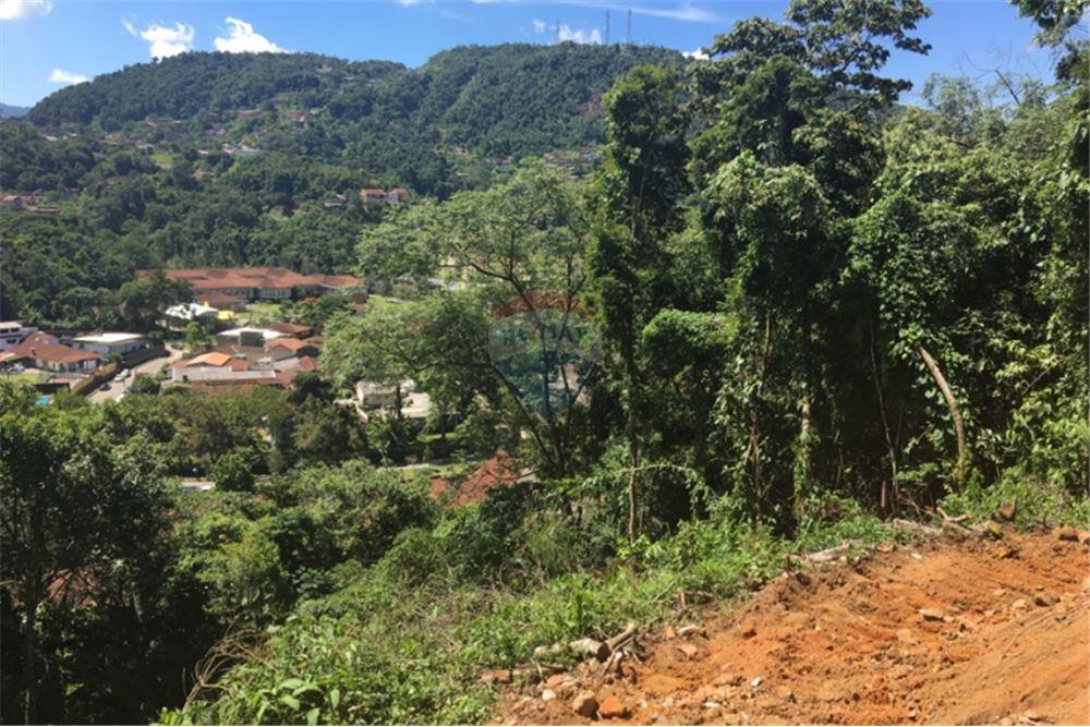 Terreno - Venda - Petrópolis , Rio de Janeiro - 10 - 630131022-38