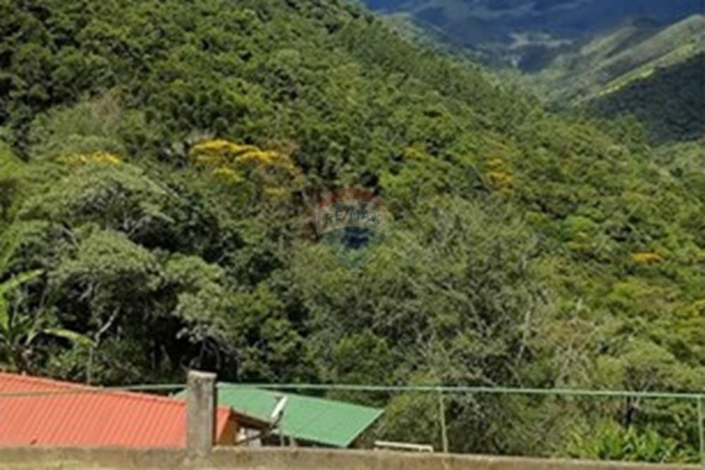 Chácara / Sítio / Fazenda - Venda - Nova Friburgo , Rio de Janeiro - 20250224_141214.jpg - 630551016-153