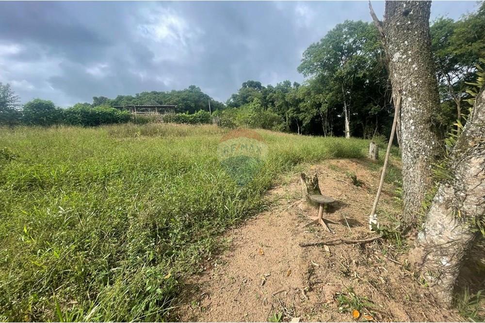 Chácara à venda com 2 quartos, 15340m² - Foto 32