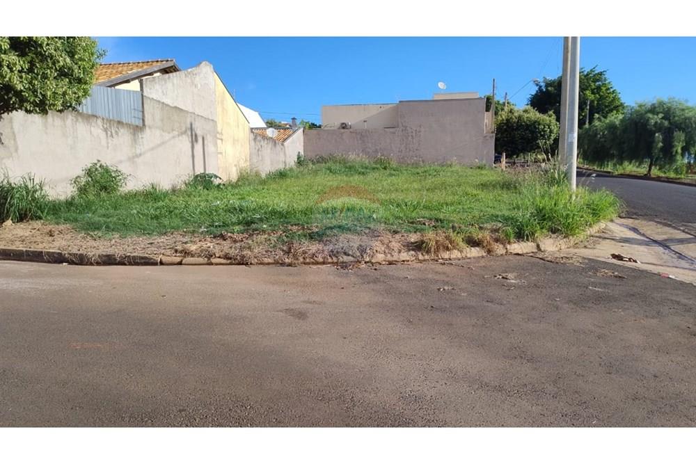 Terreno - Venda - Promissão , São Paulo - 01.jpeg - 631441009-15