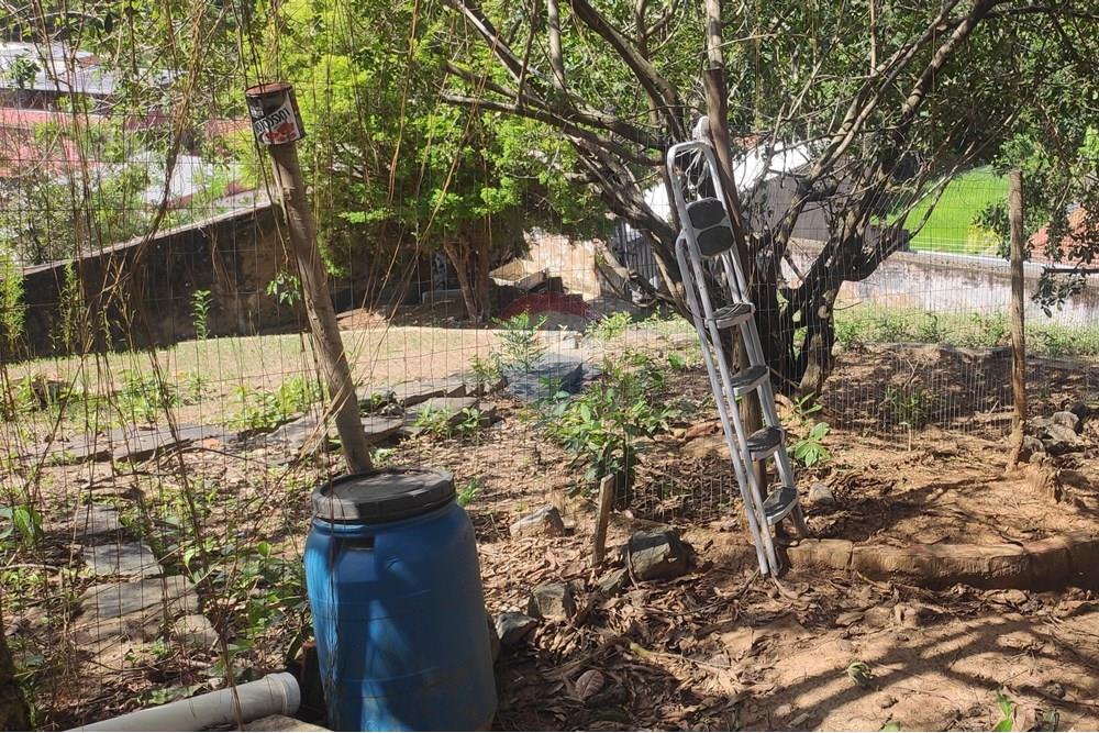 Terreno - Venda - Paraíba do Sul , Rio de Janeiro - IMG_20251106_135755.jpg - 631411001-102