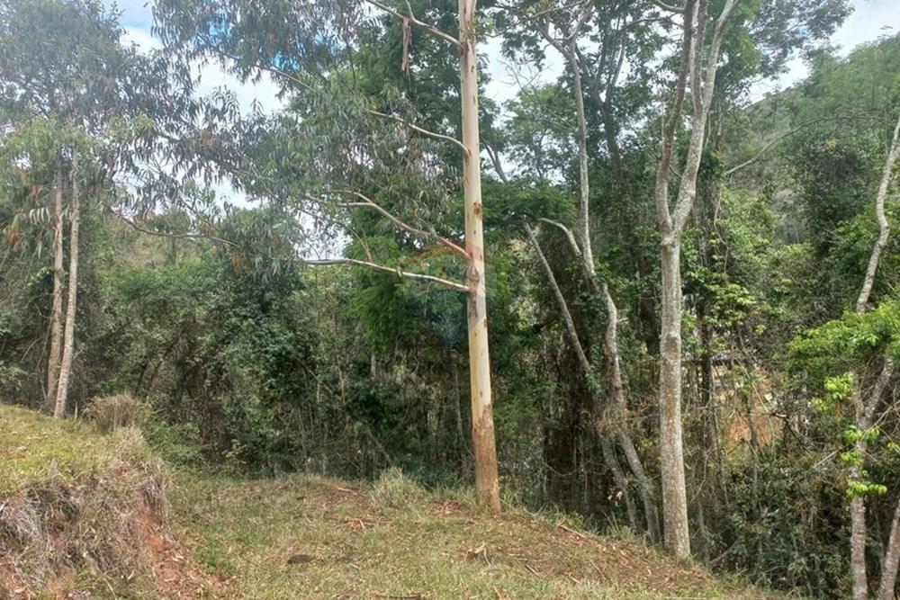 Terreno - Venda - Bom Jardim , Rio de Janeiro - WhatsApp Image 2026-01-16 at 10.55.52.jpeg - 630551007-571