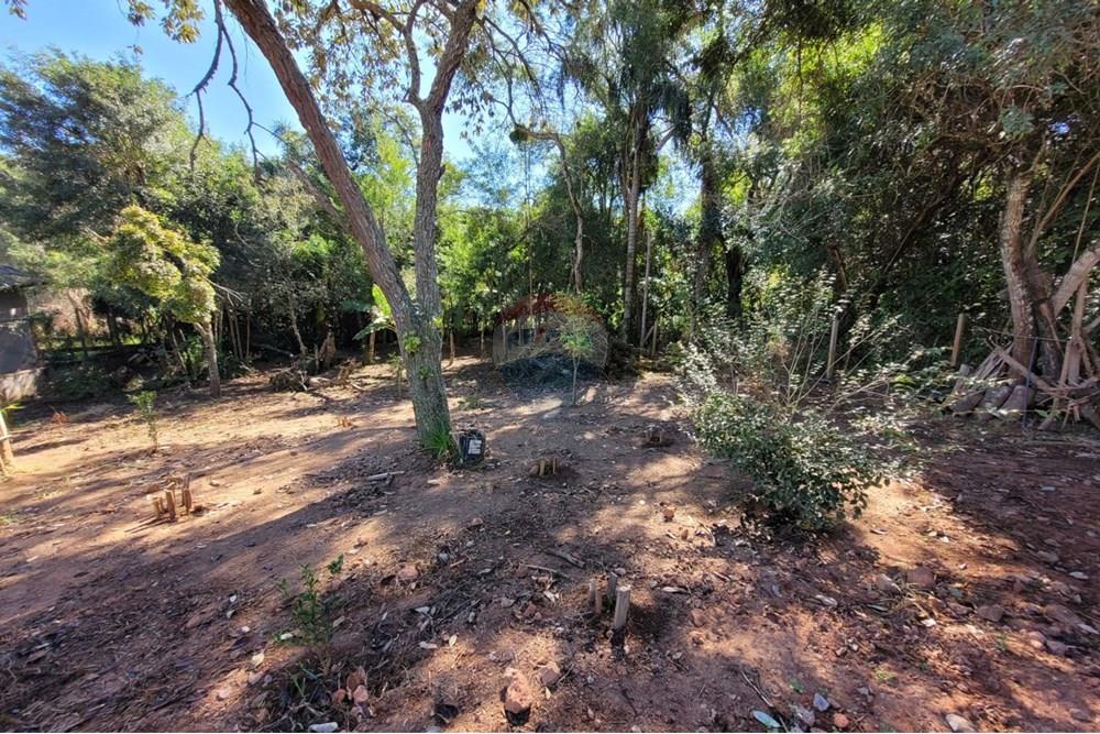 Chácara / Sítio / Fazenda - Venda - Ibiúna , São Paulo - 24.jpeg - 631331004-46