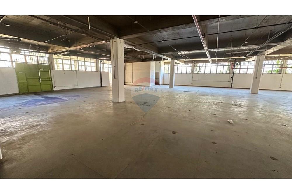 Galpão - Alugar - Petrópolis , Rio de Janeiro - IMG-20250221-WA0045.jpg - 630131065-26