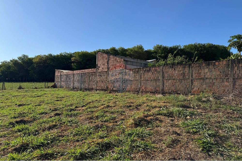 Terreno - Venda - Promissão , São Paulo - IMG-20250925-WA0278.jpg - Quintal - 631011035-24