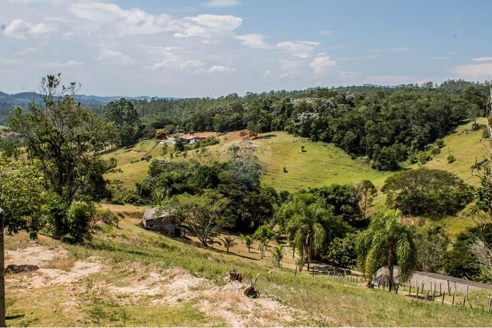 Chácara / Sítio / Fazenda - Venda - Mogi das Cruzes , São Paulo - _MG_7796.jpg - 630281008-100