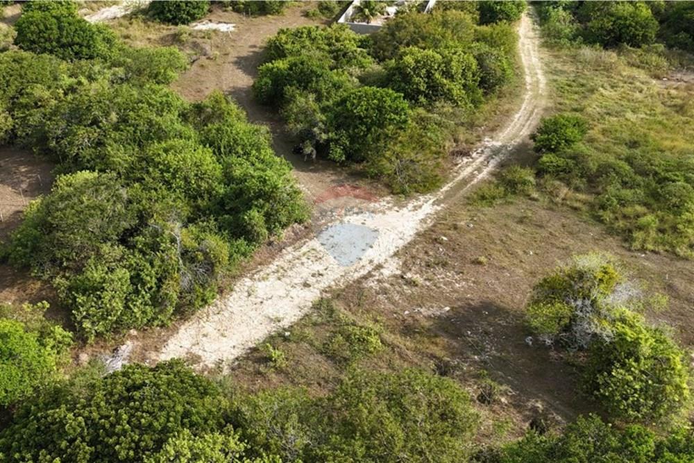 Terreno - Venda - Armação dos Búzios , Rio de Janeiro - dji_fly_20250310_154520_0019_1742265345177_photo.JPG - 630391033-20